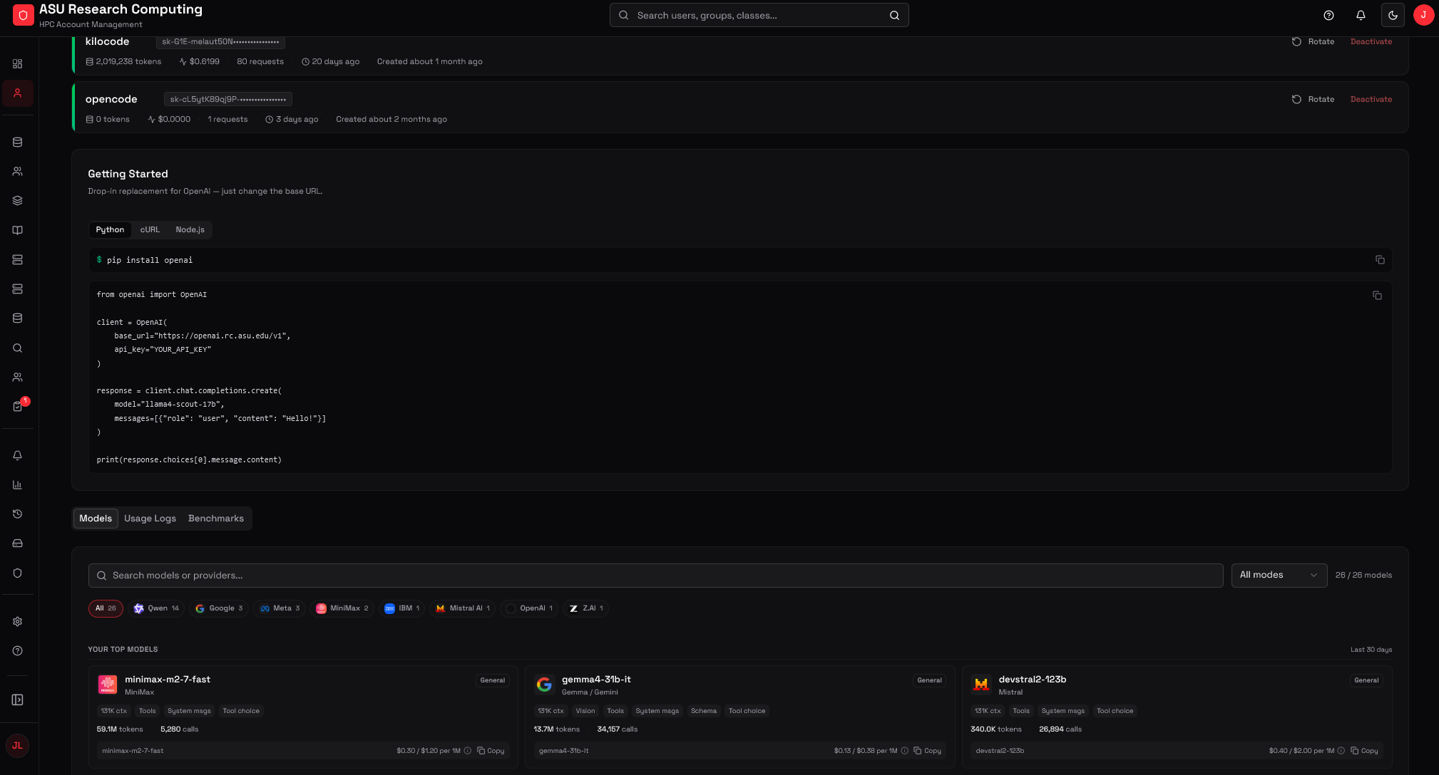Screenshot of the in-house account portal showing API keys and token usage